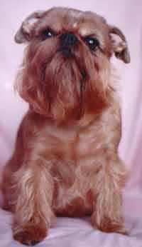 CH. Titre Initial COLETTE MAWPET